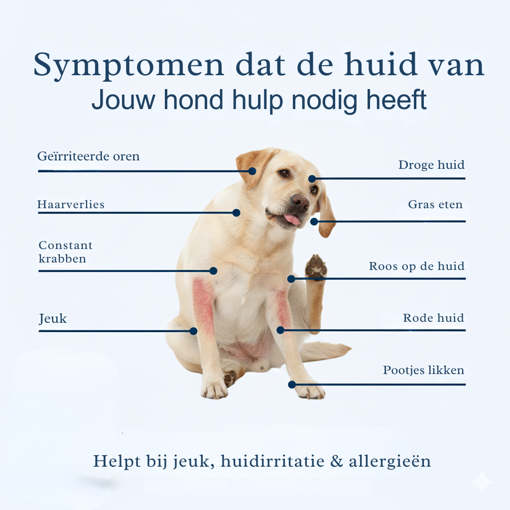 Itch Relief Chews | Voor een gezondere huid en vacht