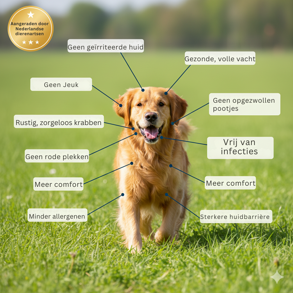 Itch Relief Chews | Voor een gezondere huid en vacht